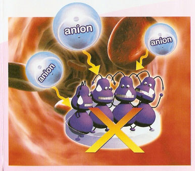 Anion kill baterial